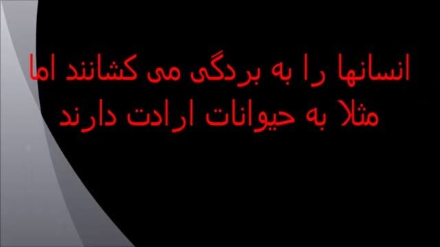 داعش و  9 قانون عجیب و غریب در دولت اسلامیش -عراق-سوریه