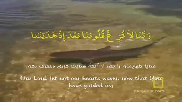 دعای پیش از افطار + ربنا معروف شجریان همراه با متن و ترجمه کامل