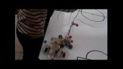 مسابقات رباتیک دانش آموزی طبس گلشن -آذر92