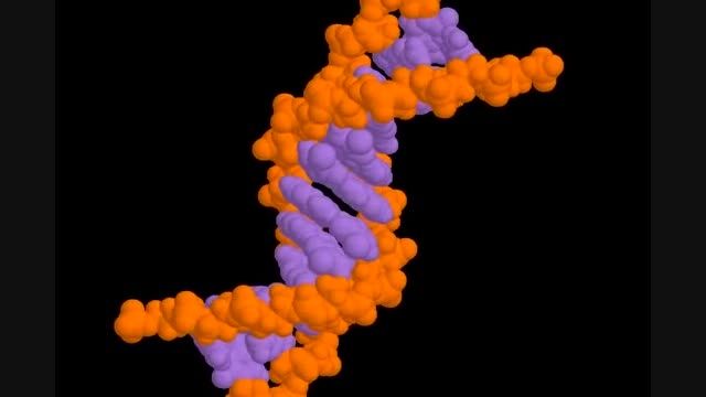 ساختار DNA