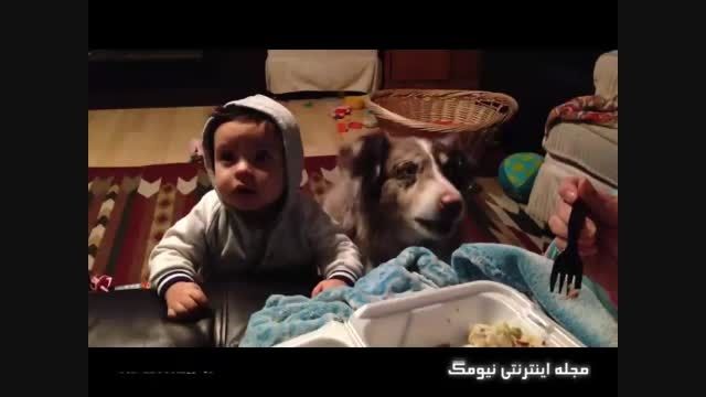 وقتی سگ قبل از کودک مادر گفتن را یاد میگیرد
