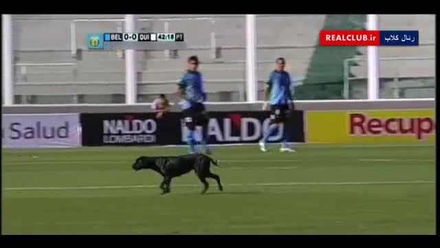 فوتبال بازی کردن سگ !!!