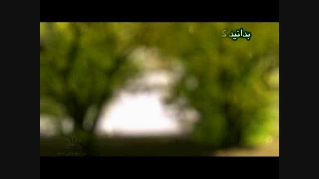 گزیده ای از وصیت نامه شهید سید ابوالفضل سامع (65)