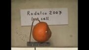 پرتقال زیر 4000 ولت برق (جالب)