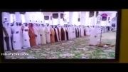 اختراع سوره جدید توسط امام جماعت وهابی در امارات