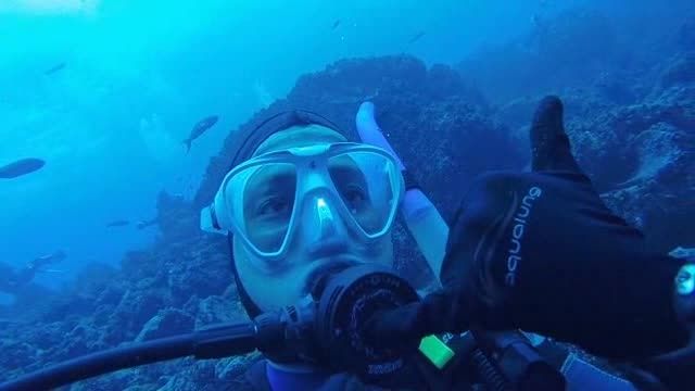 فیلمی دیدنی از زیبایی های زیر دریا