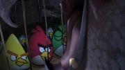 Angry Birds Rio Nigel Mashup