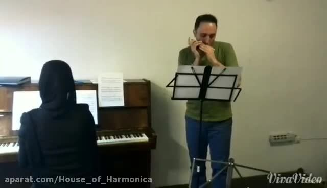 Song From a Secret Garden - Harmonica : Iman Rahimipour