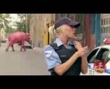 فیل در شهر (دوربین مخفی)
