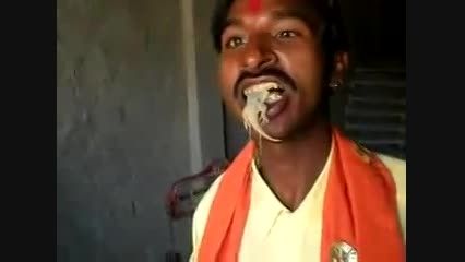 مارمولک خوردن مرد هندی