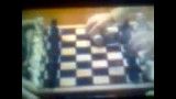 پت و مت و شطرنج