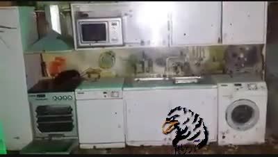 یاخدا!!!.سوسک های عظیم الجثه و غول پیکر در آشپزخانه!!!!