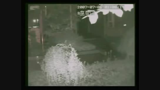 فیلم ضبط شده از شبح اژدها گونه توسط دوربین مداربسته