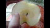 تك چشم در سیب