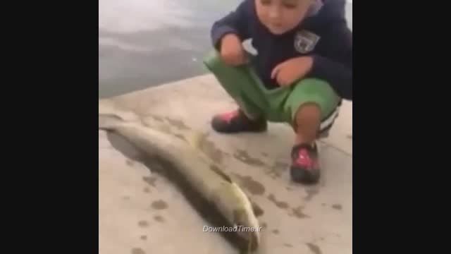 چک خوردن بچه از ماهی