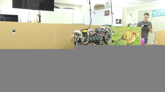 ربات یوزپلنگ MIT