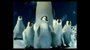 اهنگ فارسی پنگوئن ها خیلی جالبه