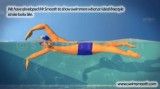 آموزش شنای کرال سینه