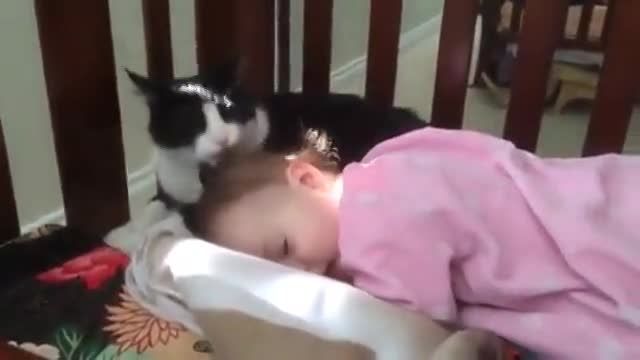 لیس زدن گربه یک بچه کوچولو در حین خوابیدن