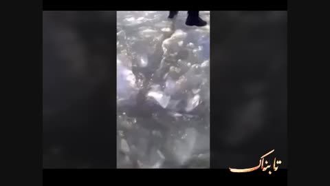 لحظه غرق شدن دو دانشجوی دختر در دریاچه شورابیل