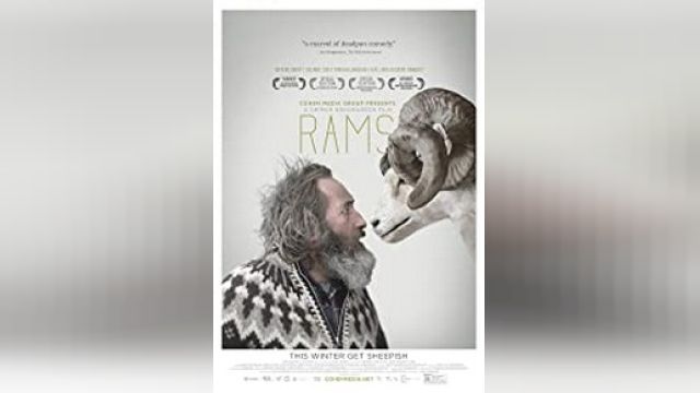 دانلود فیلم قوچ ها 2015 - Rams