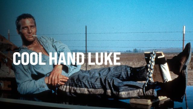 دانلود فیلم لوک خوش دست 1967 - Cool Hand Luke