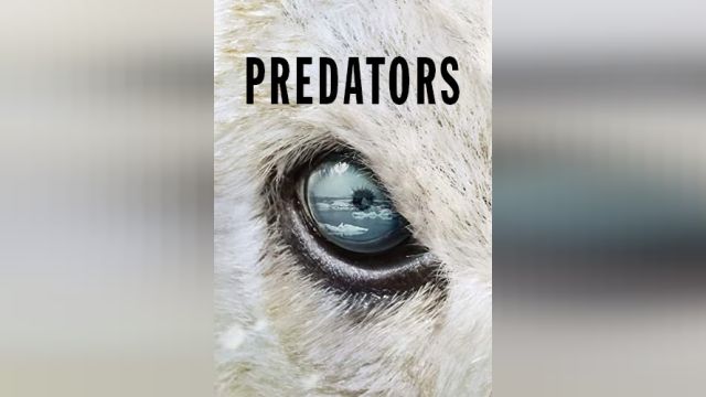 سریال شکارچیان (فصل 1 قسمت 5) Predators