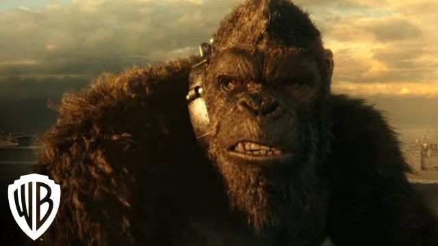 گودزیلا vs کینگ کونگ | سکانس فیلم Godzilla vs Kong
