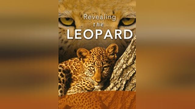 فیلم فاش کردن دنیای پلنگ ها Revealing the Leopard (دوبله فارسی)