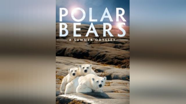 فیلم خرس های قطبی : ماجرای يک تابستان Polar Bears: A Summer Odyssey (دوبله فارسی)