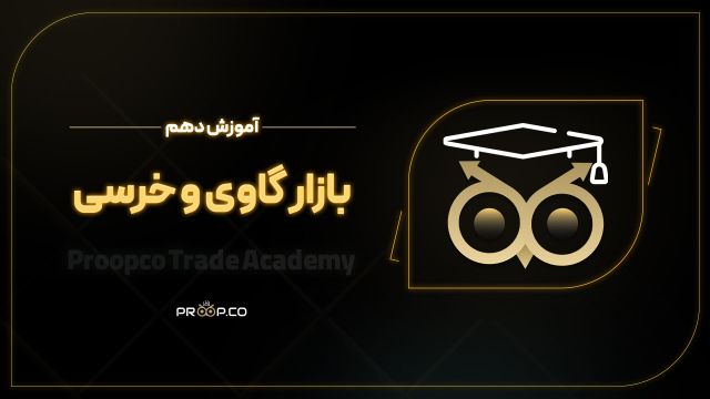 آموزش صفر تا صد فارکس | بازار خرسی و گاوی