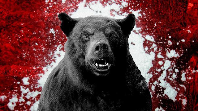 دانلود فیلم خرس کوکائین 2023 (دوبله) - Cocaine Bear