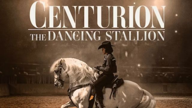 دانلود فیلم سنتوریون نریان رقصنده 2023 - Centurion The Dancing Stallion