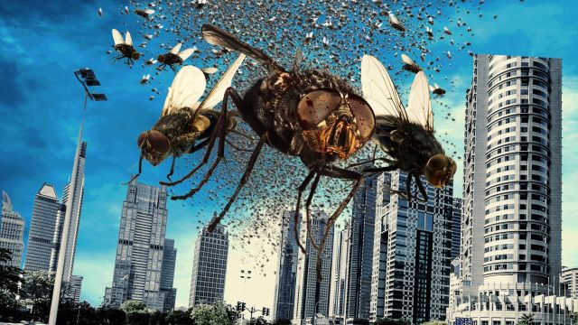 دانلود فیلم ازدحام مرگبار 2024 - The Deadly Swarm