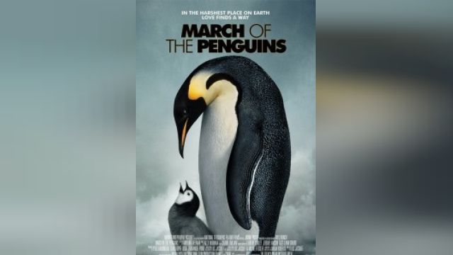 فیلم رژه پنگوئن ها March of the Penguins (دوبله فارسی)