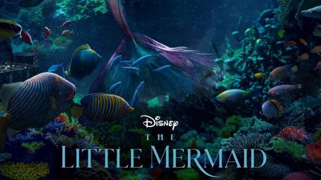 دانلود فیلم پری دریایی کوچک 2023 - The Little Mermaid