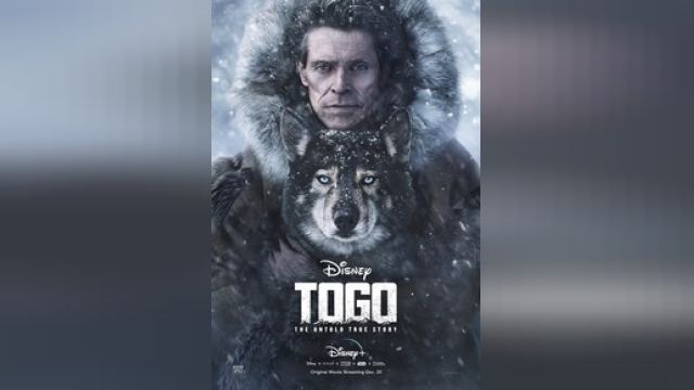 دانلود فیلم توگو 2019 - Togo