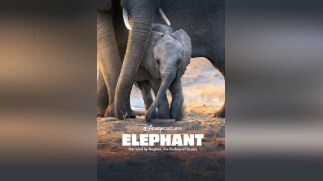فیلم فیل Elephant (دوبله فارسی)