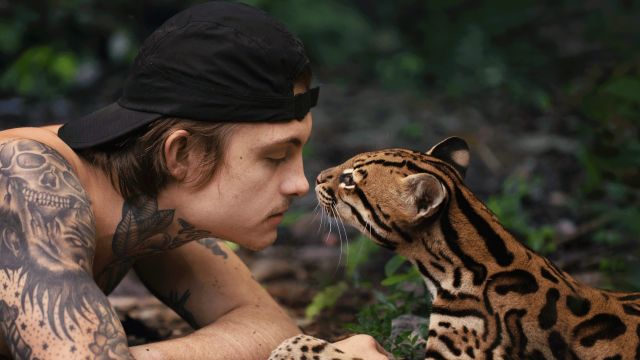 دانلود فیلم گربه وحشی 2022 - Wildcat