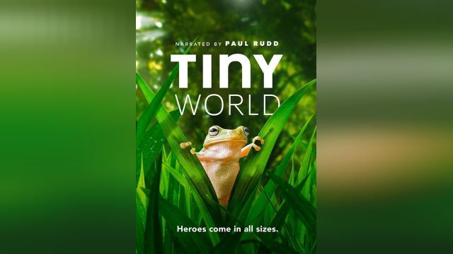 سریال دنیای کوچک  (فصل 1 قسمت 5) Tiny World (دوبله فارسی)