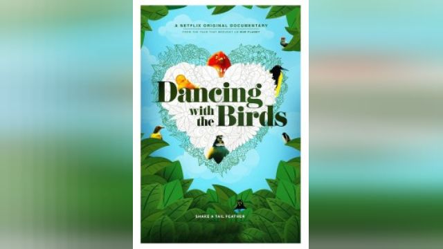 فیلم رقص با پرندگان Dancing with the Birds (دوبله فارسی)
