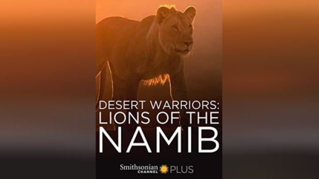 فیلم جنگجویان بیابان: شیرهای صحرای نامیب Desert Warriors: Lions of the Namib (دوبله فارسی)
