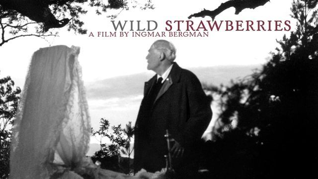 دانلود فیلم توت فرنگی های وحشی فیلم Wild Strawberries 1957 + زیرنویس چسبیده