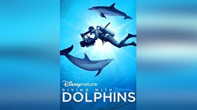 دانلود فیلم غواصی با دلفین ها 2020 - Diving with Dolphins