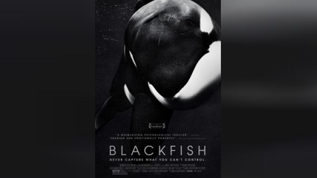 فیلم ماهی سیاه  Blackfish (دوبله فارسی)