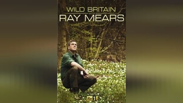 دانلود سریال انگلیس وحشی با ری میرز ساحل - ITV Wild Britain with Ray Mears S01P02 - Shingle Shore