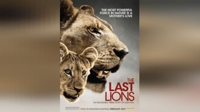 فیلم آخرین شیرها The Last Lions (دوبله فارسی)