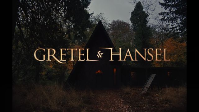 دانلود فیلم هانسل و گرتل 2020 (دوبله) - Gretel and Hansel