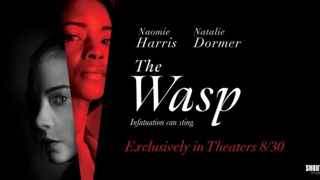 دانلود فیلم معمایی هیجان انگیز The Wasp 2024 زنبور در سایت upko.ir