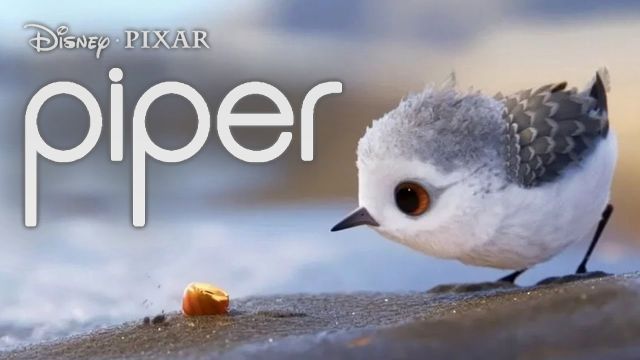انیمیشن کوتاه پایپر Disney Pixar Piper